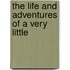 The Life And Adventures Of A Very Little