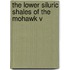 The Lower Siluric Shales Of The Mohawk V