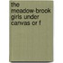 The Meadow-Brook Girls Under Canvas Or F