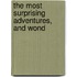 The Most Surprising Adventures, And Wond