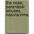 The Nose, Paranasal Sinuses, Nasolacrima