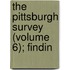 The Pittsburgh Survey (Volume 6); Findin