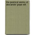 The Poetical Works Of Alexander Pope Wit