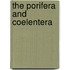 The Porifera And Coelentera