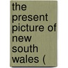 The Present Picture Of New South Wales ( door David Dickinson Mann