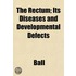 The Rectum; Its Diseases And Development