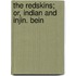The Redskins; Or, Indian And Injin. Bein
