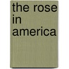 The Rose In America door David McFarland