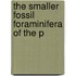 The Smaller Fossil Foraminifera Of The P