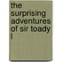 The Surprising Adventures Of Sir Toady L
