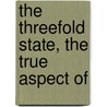 The Threefold State, The True Aspect Of door Rudolf Steiner