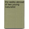 The Walks Abroad Of Two Young Naturalist by Charles Beaugrand