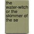 The Water-Witch Or The Skimmer Of The Se