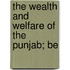 The Wealth And Welfare Of The Punjab; Be