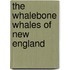 The Whalebone Whales Of New England