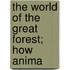 The World Of The Great Forest; How Anima