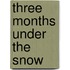 Three Months Under The Snow