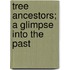 Tree Ancestors; A Glimpse Into The Past