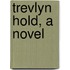 Trevlyn Hold, A Novel