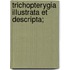 Trichopterygia Illustrata Et Descripta;