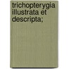 Trichopterygia Illustrata Et Descripta; by Sean Matthews