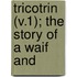 Tricotrin (V.1); The Story Of A Waif And