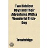 Two Biddicut Boys And Their Adventures W door Trowbridge