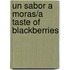 Un Sabor A Moras/a Taste Of Blackberries