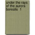 Under The Rays Of The Aurora Borealis  1