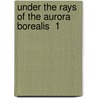 Under The Rays Of The Aurora Borealis  1 door Sophus Tromholt