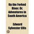 Up The Forked River; Or, Adventures In S