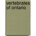 Vertebrates Of Ontario