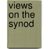 Views On The Synod