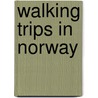 Walking Trips In Norway door Nehemias Tjernagel