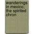 Wanderings In Mexico; The Spirited Chron