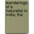 Wanderings Of A Naturalist In India; The