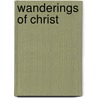 Wanderings Of Christ by Segal