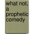 What Not, A Prophetic Comedy