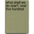 What Shall We Do Now?; Over Five Hundred