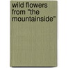 Wild Flowers From "The Mountainside" by Sister Mercedes