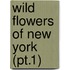 Wild Flowers Of New York (Pt.1)