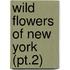 Wild Flowers Of New York (Pt.2)