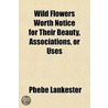 Wild Flowers Worth Notice For Their Beau door Phebe Lankester