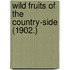 Wild Fruits Of The Country-Side (1902.)