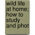 Wild Life At Home; How To Study And Phot