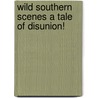 Wild Southern Scenes A Tale Of Disunion! by Ken Jones