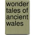 Wonder Tales Of Ancient Wales
