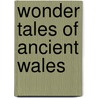 Wonder Tales Of Ancient Wales door Bob Henderson