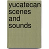 Yucatecan Scenes And Sounds door Albert Kelsey