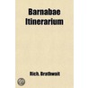 Barnabæ Itinerarium; Or, Drunken Barnaby door Richard Brathwait